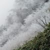 11/27　石鎚山の霧氷
