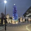 ウインターホワイト ウインタークリスマス 量販店 販売 樹木 電飾 バス停 長久手古戦場