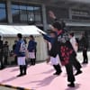 京都桜よさこい祭り