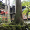 永平寺