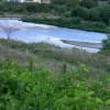 多摩川河川敷を歩く