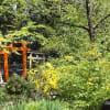 二条城と平野神社