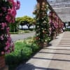 　横浜山下公園
