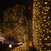 。・:*:・゜Merry Christmas♪in　Tokyo ＴＯＫＹＯ「