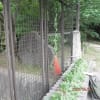 二子　岡本公園民家園、丸子川親水公園、氷川神社、区立総合運動場、砧公園、いらか道をあるいて用賀駅です。rightwise