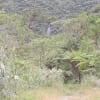 ふるさと奄美の景勝地　フナンギョの滝