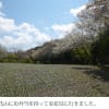 源氏山での花見