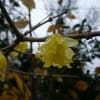 あの頃チャンネル(2008年12月28日～2009年01月03日)