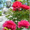 當麻寺浄土庭園