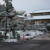 2月25日常総市のこの辺りは朝3時ごろ降った雪で薄っすらと白くなりました
