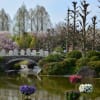 草津水生植物公園みずの森　4月12日