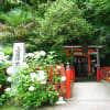 アジサイとお不動さんと