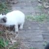 あの頃チャンネル(2010年11月21日～2010年11月27日)