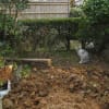 あの頃チャンネル(2010年03月21日～2010年03月27日)