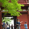 紫陽花寺　本土寺　東漸寺　小金宿　元祖マツキヨ