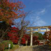 福岡　大宰府　紅葉