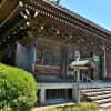金沢文庫・称名寺（キショウブ）　２