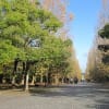 万博公園11月