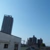 今朝(8月9日)の東京のお天気:晴れ、8月の作品:野辺の二人