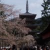 あの頃チャンネル(2009年04月05日～2009年04月11日)