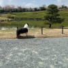 愛知県緑化センターのお花見。
