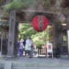 紫陽花の長谷寺