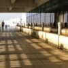 見学者デッキ、「沖縄の動植物」…那覇空港国内線旅客ターミナル