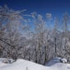 2020/01 冬の赤城山を往く（その4）黒檜山展望台