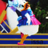 Disney world in land