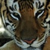 動物園