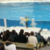 あの頃チャンネル(2006年03月12日～2006年03月18日横浜、八景島