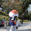 白神十二湖めぐりの旅　　2011.10.08-10