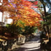 2017.11.23 紅葉 鹽竈神社