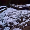 薬師池公園