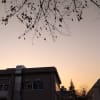 冬の到来