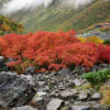 2017/10 どんより信州 in Autumn №2　～11.エピローグ～