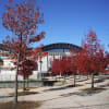 日進市 スポーツセンター 紅葉と、長久手古戦場公園のイオン店前の紅葉 他楓 オータム 秋 季節物 Chrome