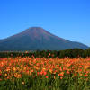 富士山の四季　～フォトギャラリー～