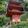 奈良塔の有る寺巡り