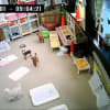 令和元年５月１日　お泊まり犬ライブ画像
