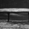 monochrome