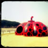瀬戸内国際芸術祭2013　直島編