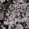 長男のベストショット