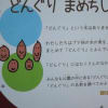 ドングリの話