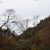 2017/11 伊勢路・錫杖ヶ岳を登る