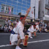 桐生まつり・阿波踊り