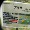 仲間と撮影