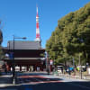 2月の東京タワー:大展望台(第一展望台)から眺める東京の風景 PART1