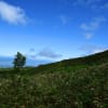 富良野岳