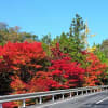 豪渓の紅葉（2014）